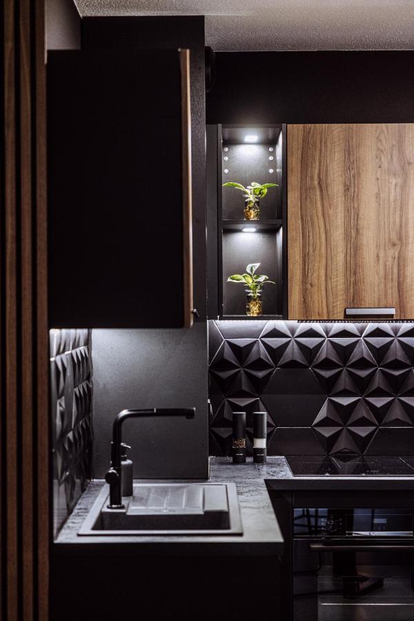 Ferienwohnung Henri IV - 2 Pieces - Parking Gratuit Billere Exterior foto